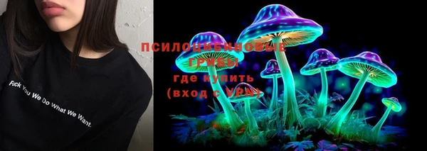 круглые Алексеевка