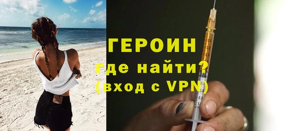 гашик Алексин
