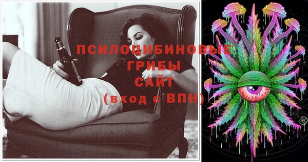 ешки Алзамай
