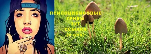 гашик Алексин