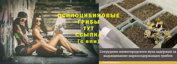ешки Алзамай