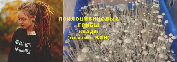 гашик Алексин