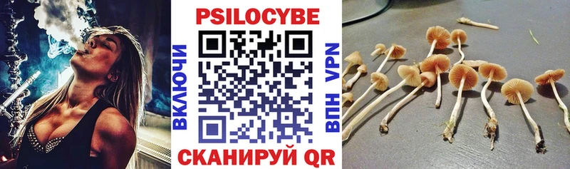 Галлюциногенные грибы GOLDEN TEACHER  Калининск 